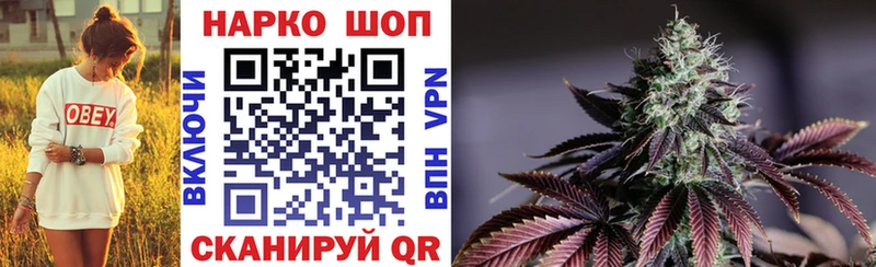 A PVP Новоржев