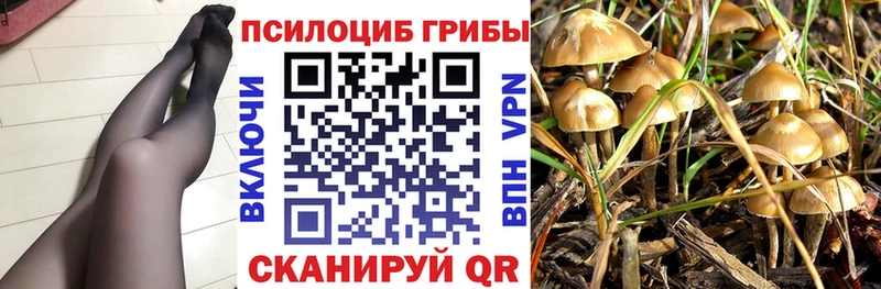 Галлюциногенные грибы Magic Shrooms  мега tor  Новоржев 